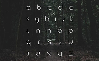 作品集排版字体