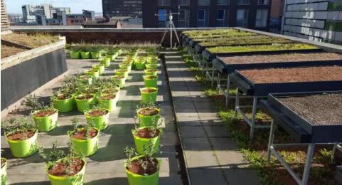 谢菲尔德建筑设计艺术研究生留学