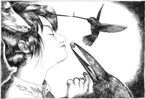 Camberwell插画作品