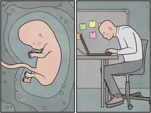 插画作品