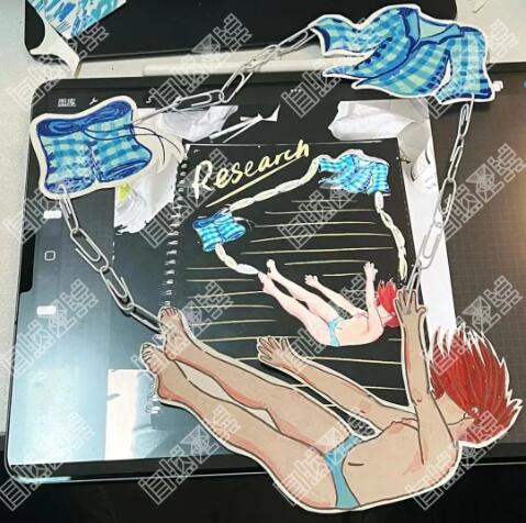纯艺术留学作品集申请案例